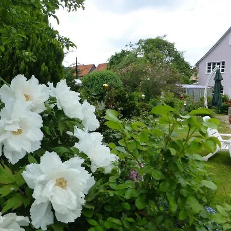 Cozy Intabarz Thuringia Near Forest Διαμέρισμα